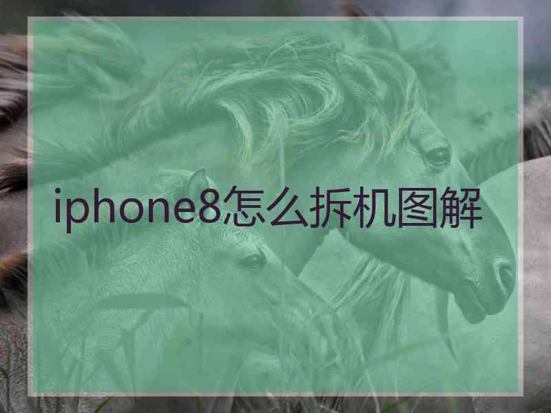 iphone8怎么拆机图解
