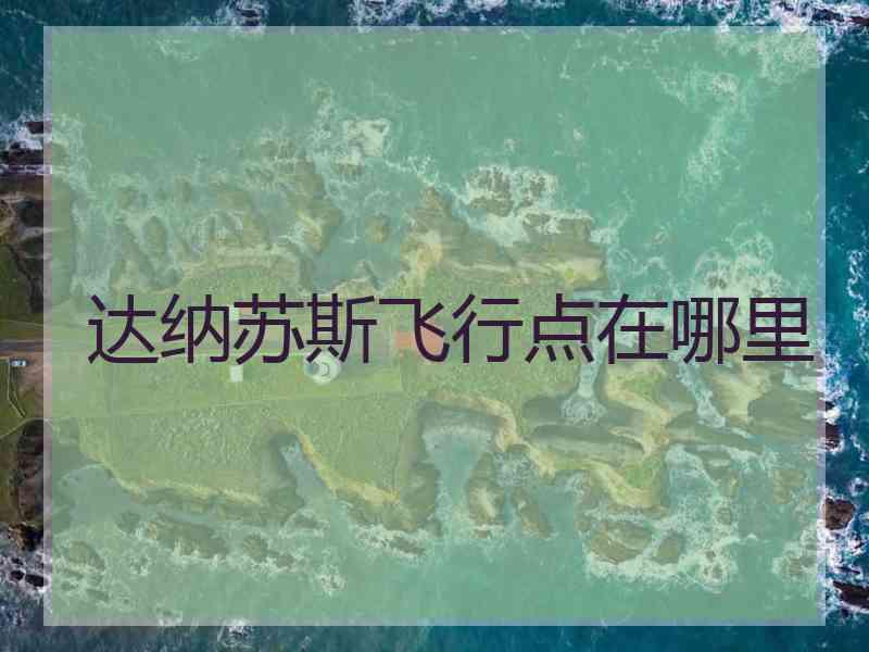 达纳苏斯飞行点在哪里