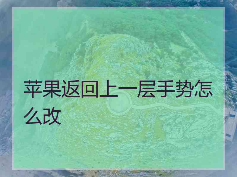 苹果返回上一层手势怎么改