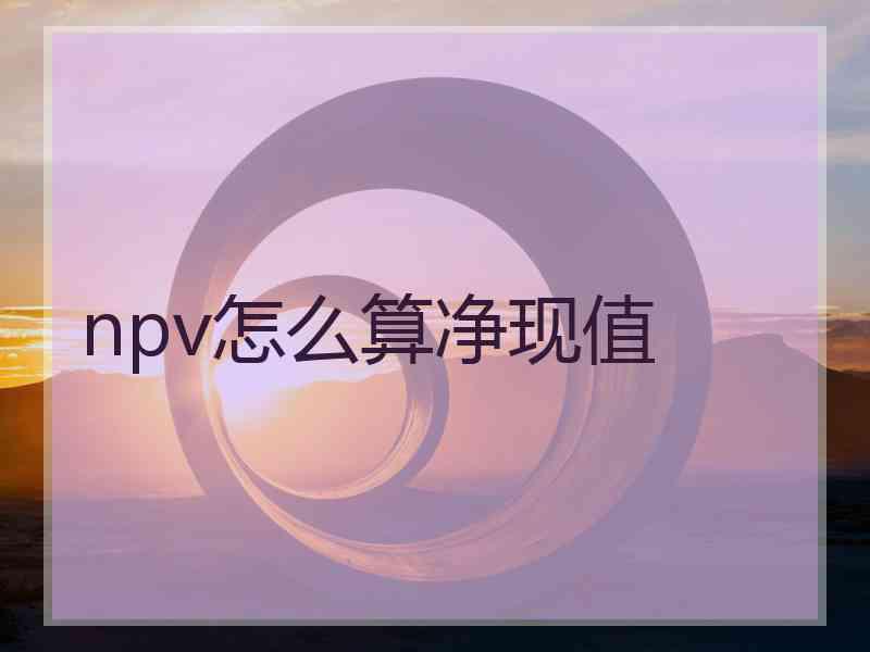 npv怎么算净现值