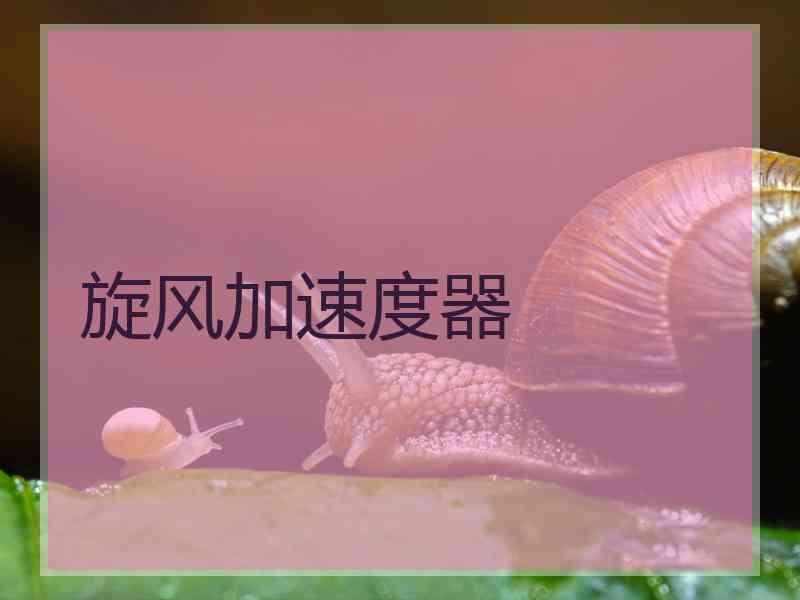 旋风加速度器
