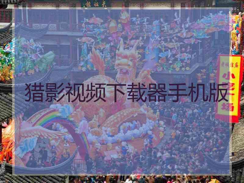 猎影视频下载器手机版