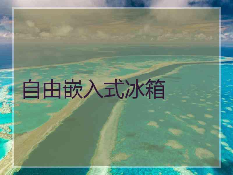 自由嵌入式冰箱
