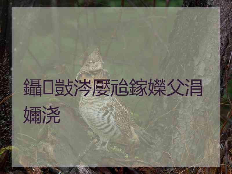 鑷敱涔嬮兘鎵嬫父涓嬭浇