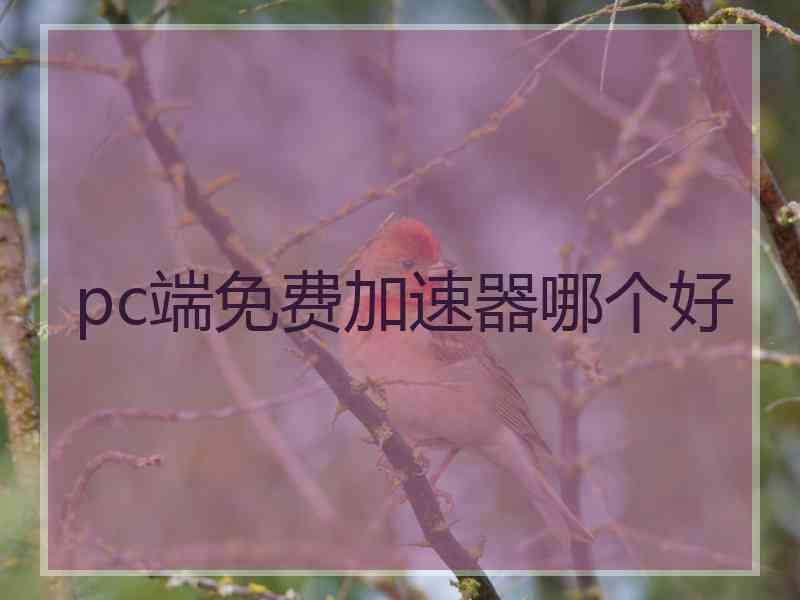 pc端免费加速器哪个好