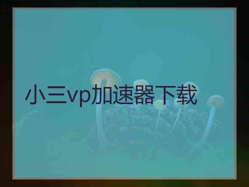 小三vp加速器下载