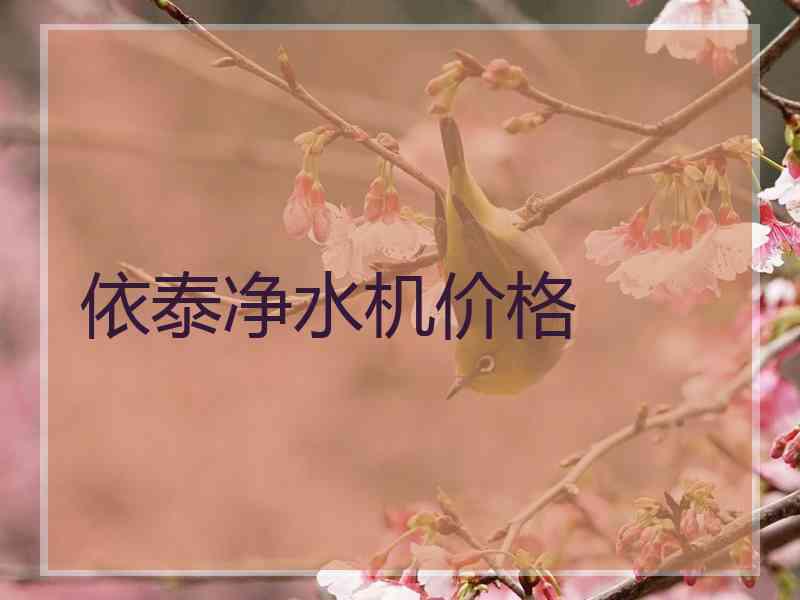 依泰净水机价格