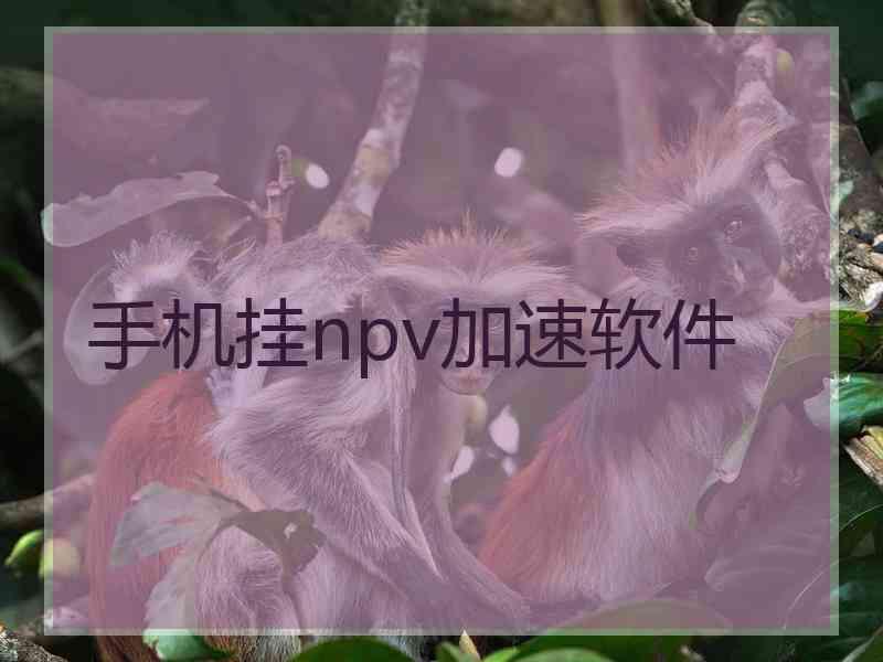 手机挂npv加速软件