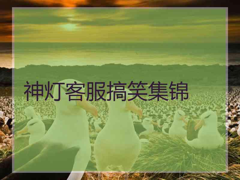 神灯客服搞笑集锦