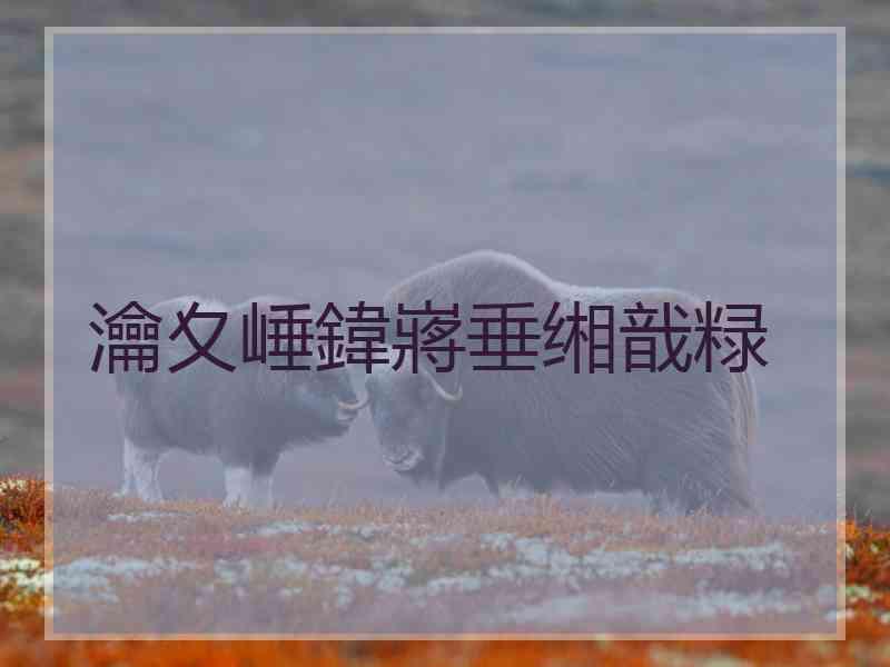 瀹夊崜鍏嶈垂缃戠粶