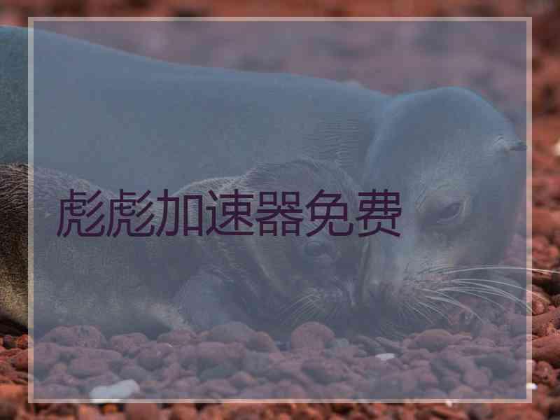 彪彪加速器免费