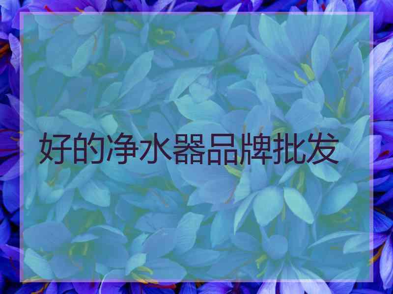 好的净水器品牌批发