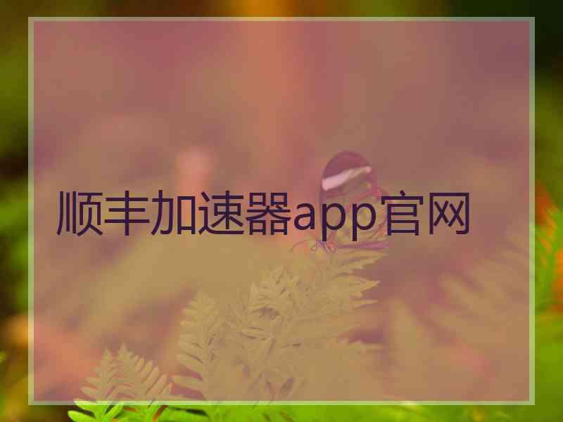 顺丰加速器app官网