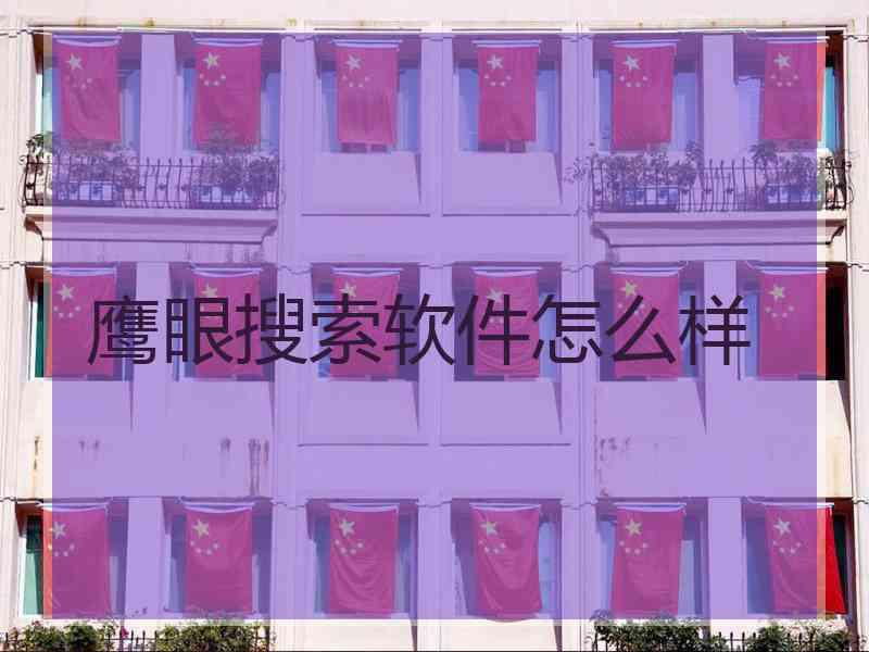 鹰眼搜索软件怎么样