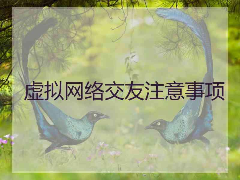 虚拟网络交友注意事项
