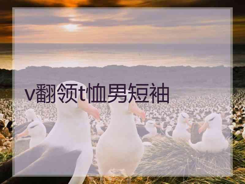 v翻领t恤男短袖
