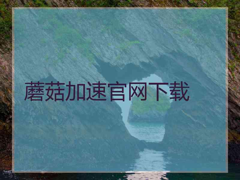 蘑菇加速官网下载