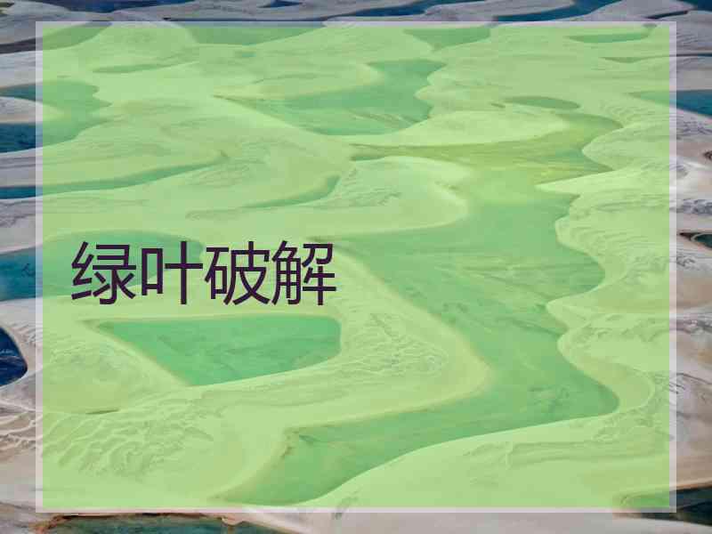 绿叶破解