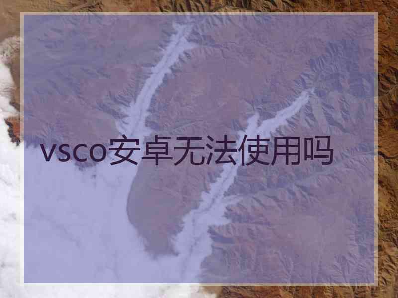 vsco安卓无法使用吗