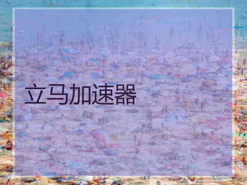 立马加速器