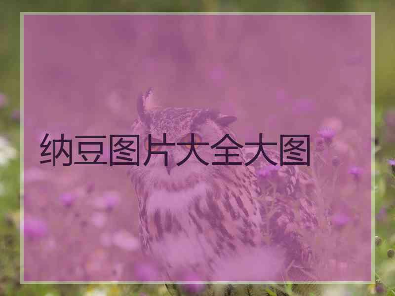 纳豆图片大全大图