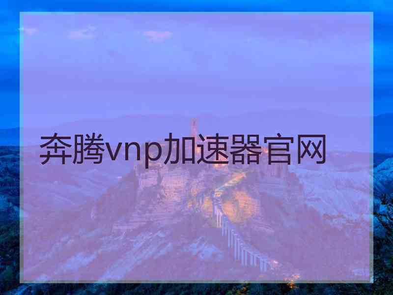 奔腾vnp加速器官网