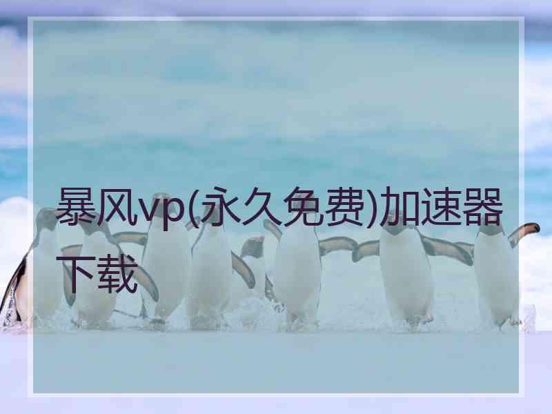 暴风vp(永久免费)加速器下载