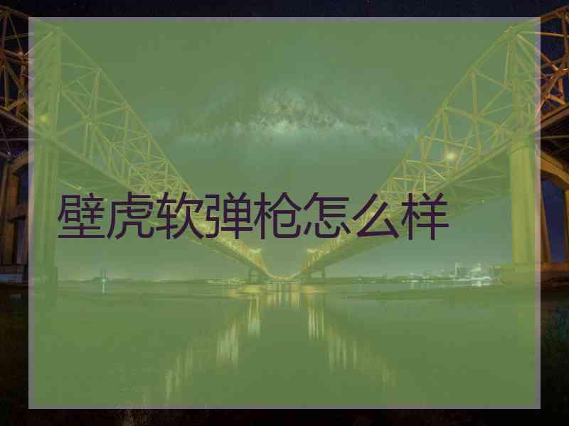 壁虎软弹枪怎么样