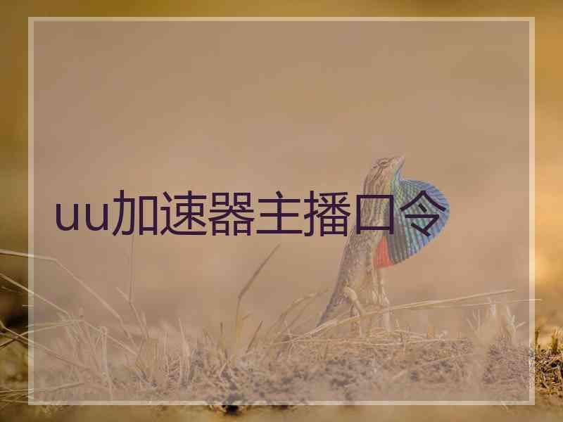uu加速器主播口令