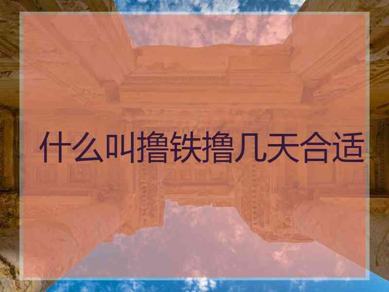 什么叫撸铁撸几天合适