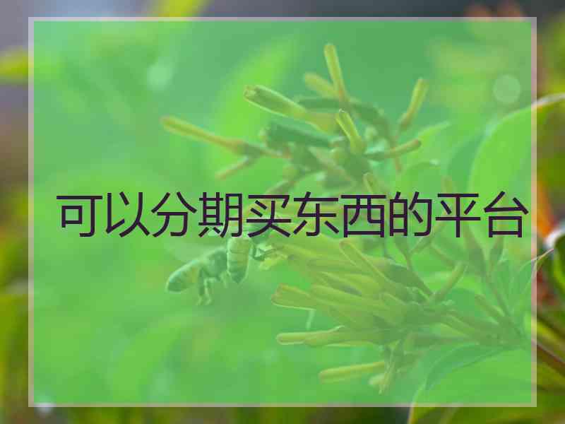可以分期买东西的平台