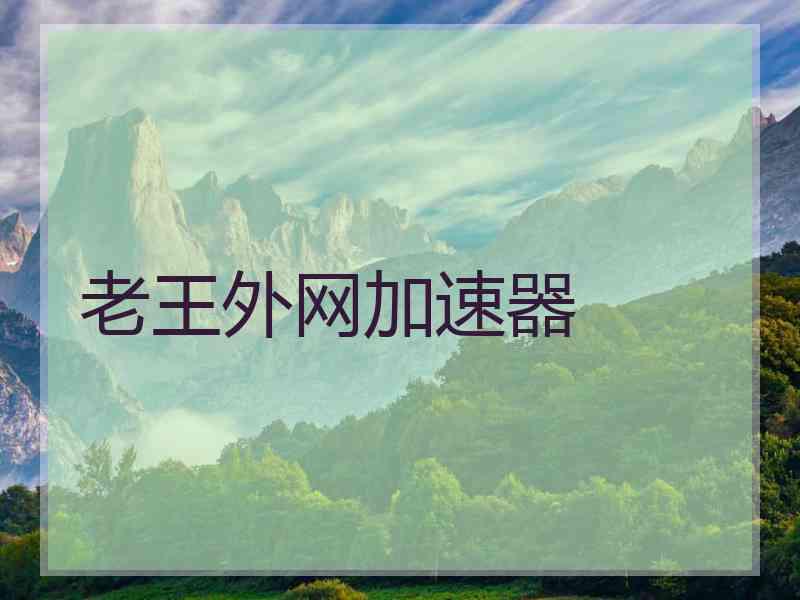 老王外网加速器