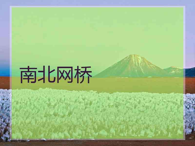 南北网桥