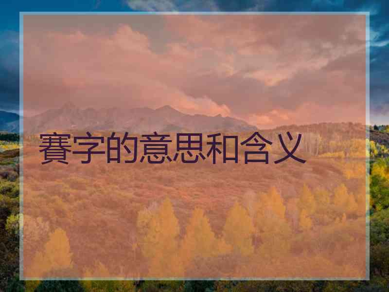 賽字的意思和含义