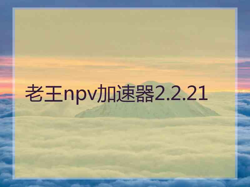 老王npv加速器2.2.21