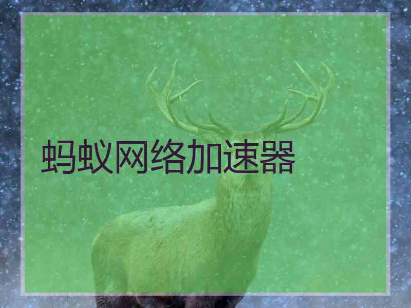 蚂蚁网络加速器
