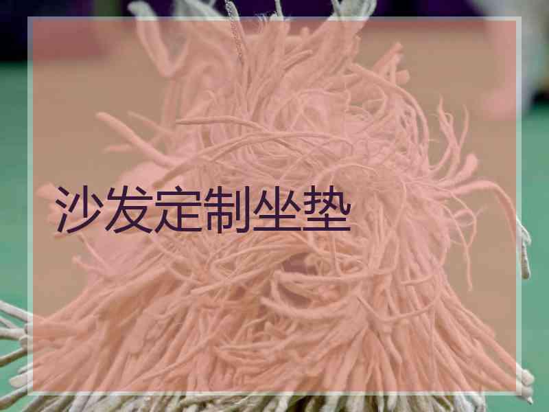 沙发定制坐垫