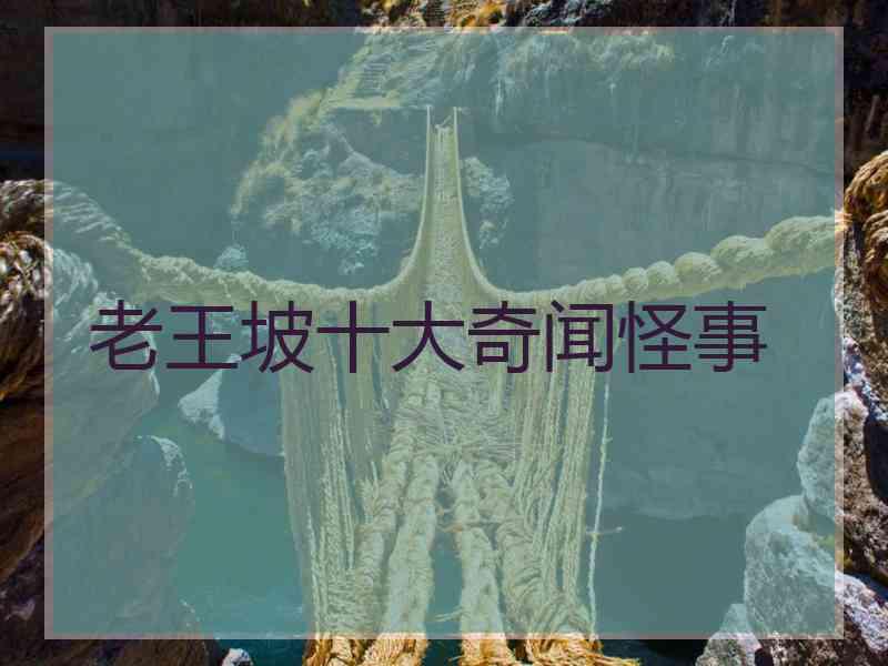 老王坡十大奇闻怪事