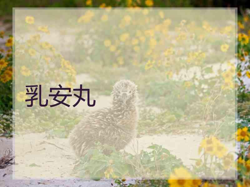 乳安丸