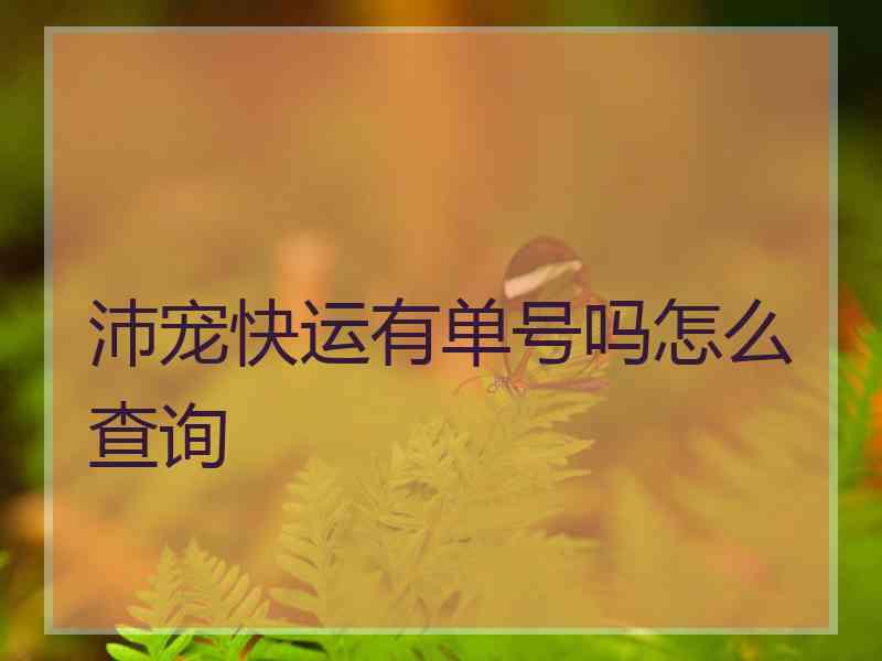 沛宠快运有单号吗怎么查询
