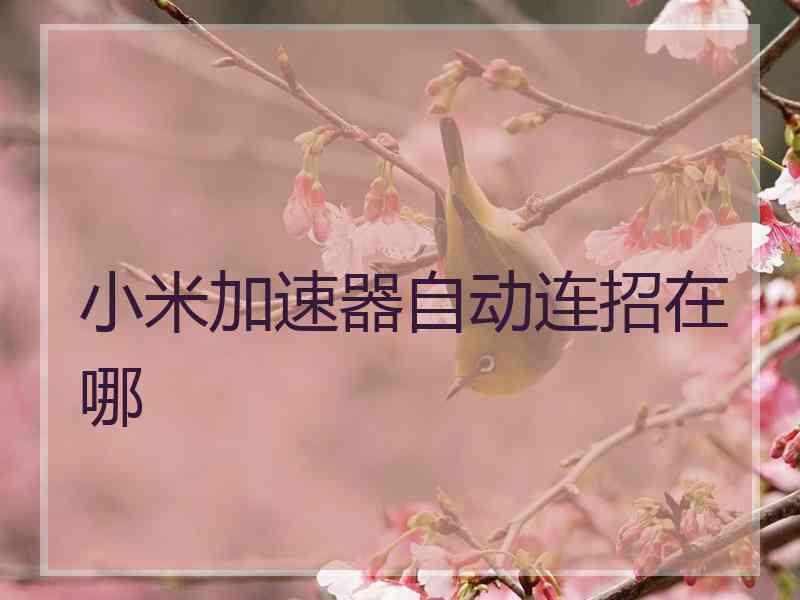 小米加速器自动连招在哪