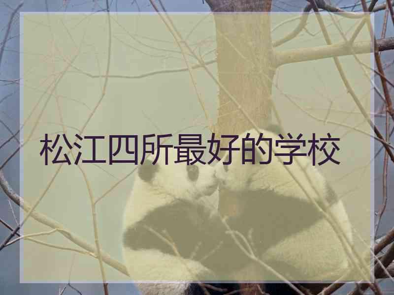 松江四所最好的学校