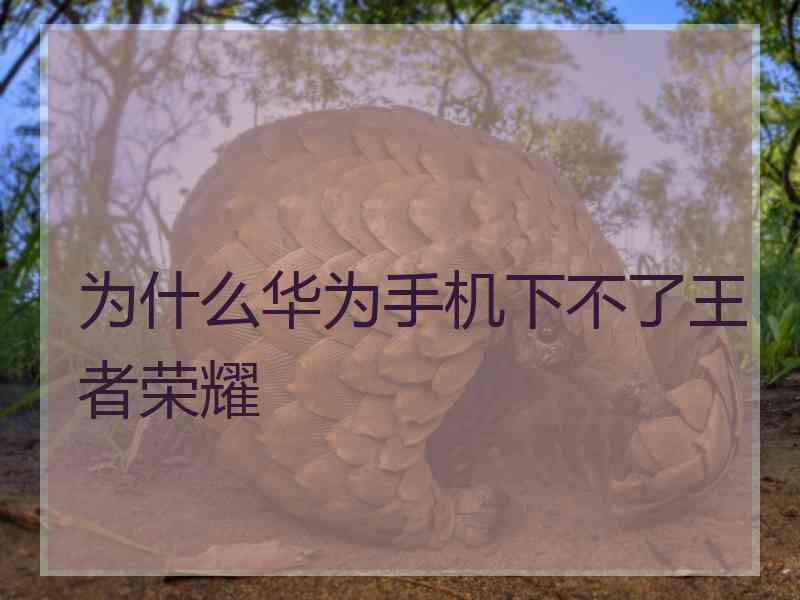 为什么华为手机下不了王者荣耀