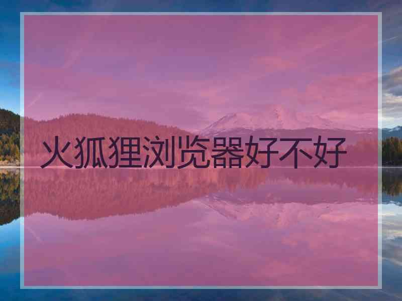 火狐狸浏览器好不好