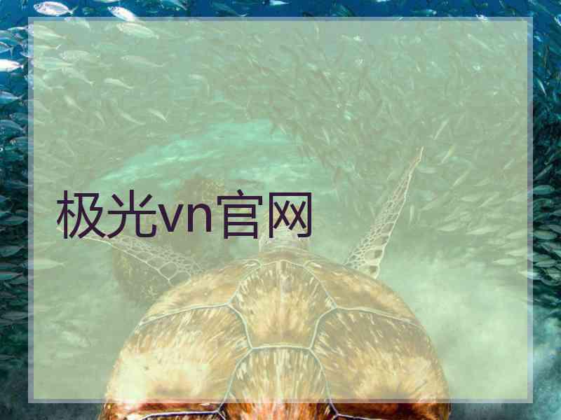 极光vn官网