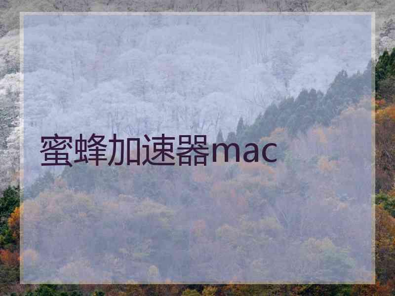 蜜蜂加速器mac