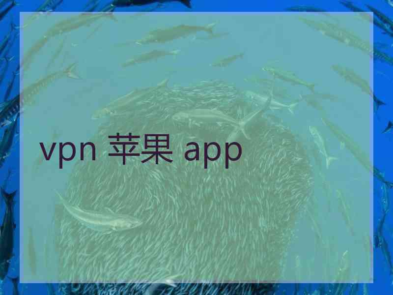 vpn 苹果 app