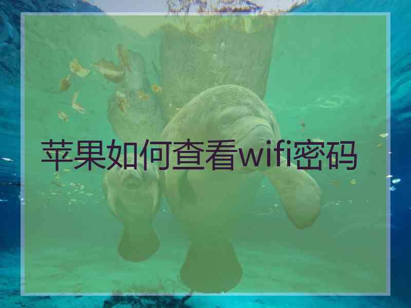 苹果如何查看wifi密码
