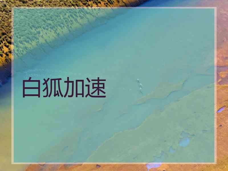 白狐加速
