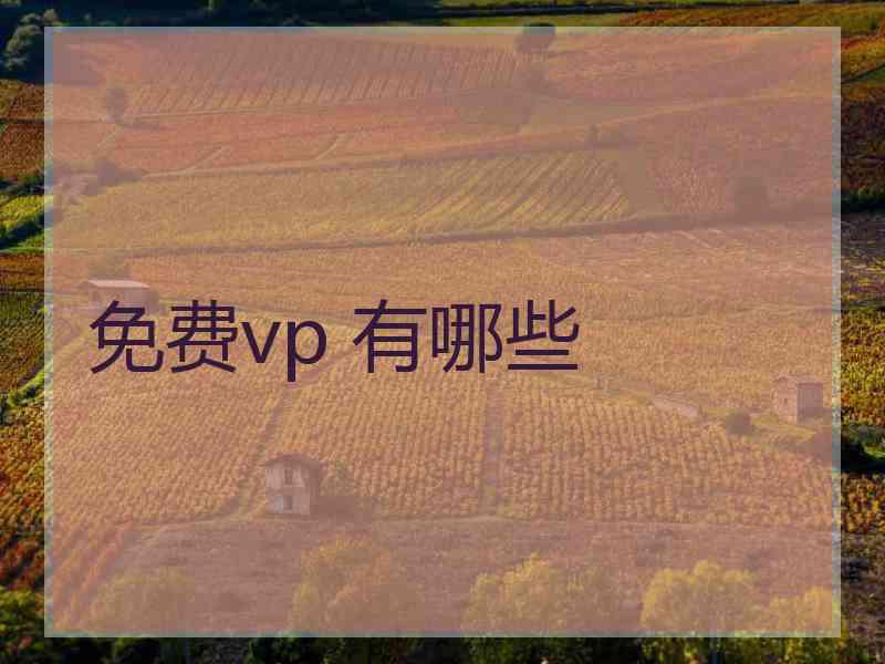 免费vp 有哪些